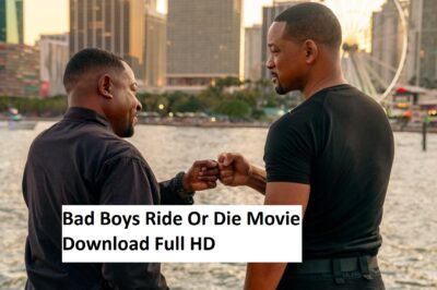 Bad Boys Ride Or Die Movie